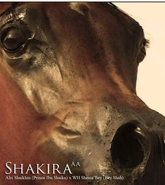 ShakiraAA_72.jpg